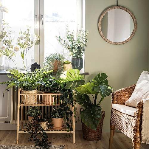 Amazon｜IKEA/イケア FEJKA：人工観葉植物90 cm モンステラ